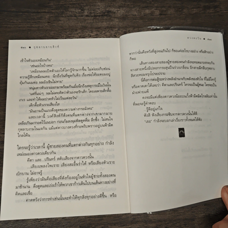 กุหลาบลายสิงห์ - ดวงตะวัน รูปที่ 9