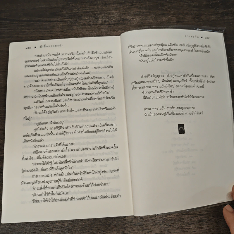 ผีเสื้อลายตะวัน -ดวงตะวัน รูปที่ 9