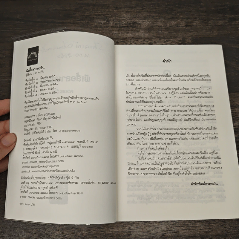 ผีเสื้อลายตะวัน -ดวงตะวัน รูปที่ 7
