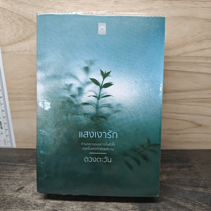 แสงเงารัก - ดวงตะวัน รูปที่ 1