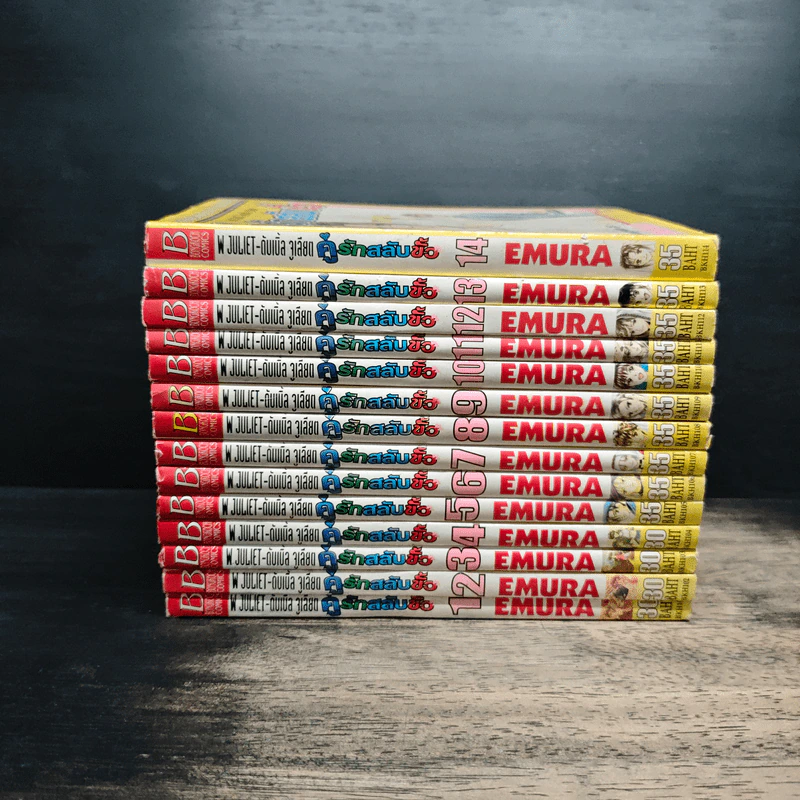 คู่รักสลับขั้ว 14 เล่มจบ - EMURA รูปที่ 2