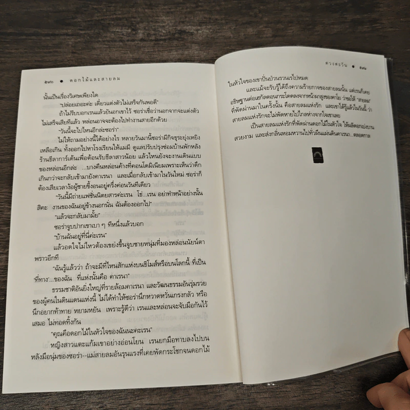 ดอกไม้และสายลม - ดวงตะวัน รูปที่ 9