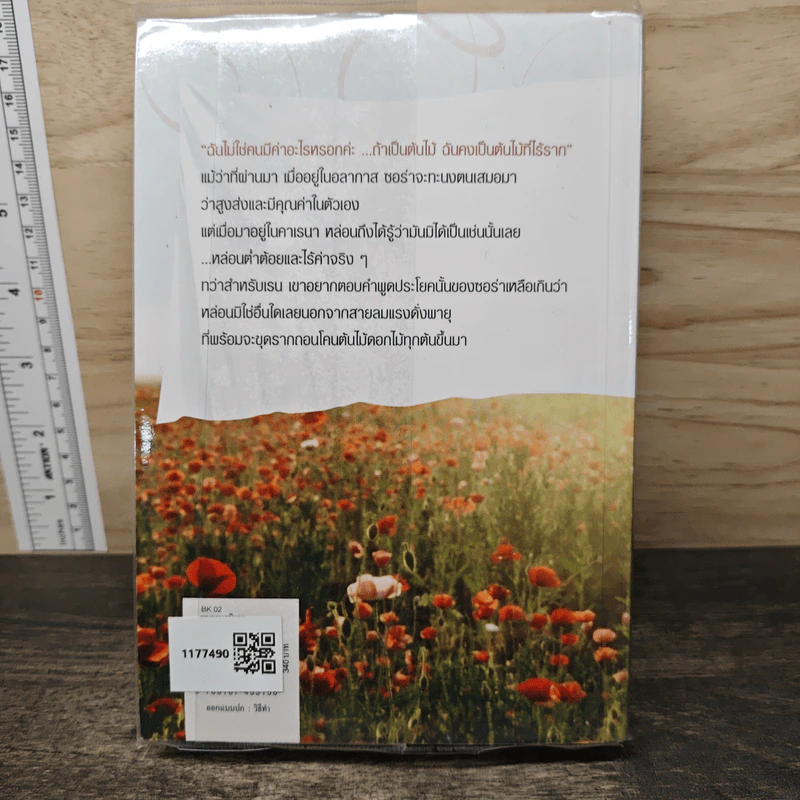 ดอกไม้และสายลม - ดวงตะวัน รูปที่ 5