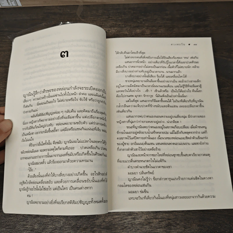 เลื่อมพรายลายรัก - ดวงตะวัน รูปที่ 8