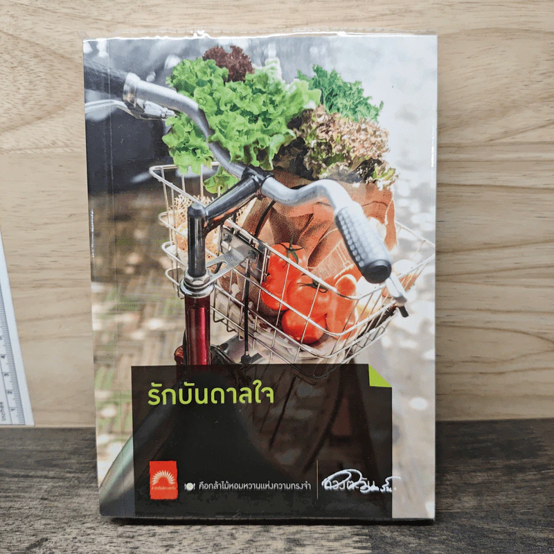 รักบันดาลใจ - ดวงตะวัน รูปที่ 1