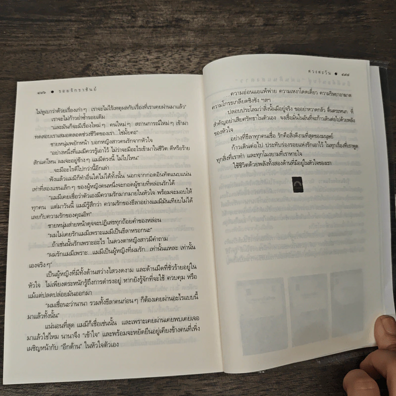 รอยรักราชันย์ - ดวงตะวัน รูปที่ 9