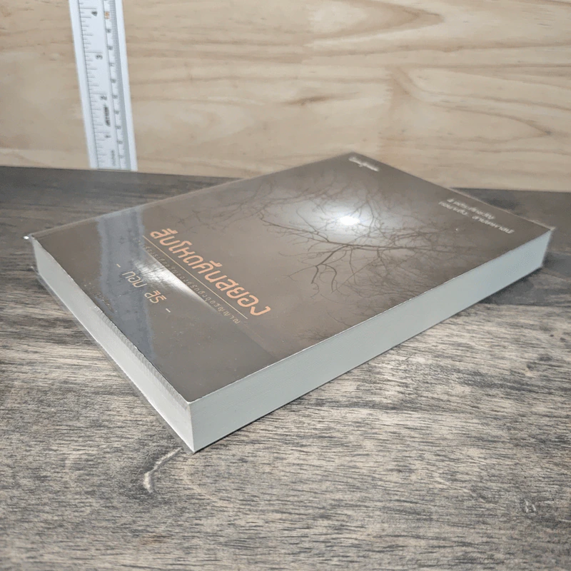 สืบโหดคืนสยอง - ทอม สิริ รูปที่ 3