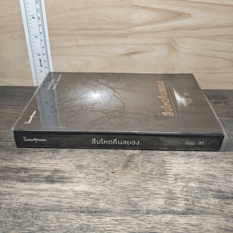 สืบโหดคืนสยอง - ทอม สิริ รูปที่ 2