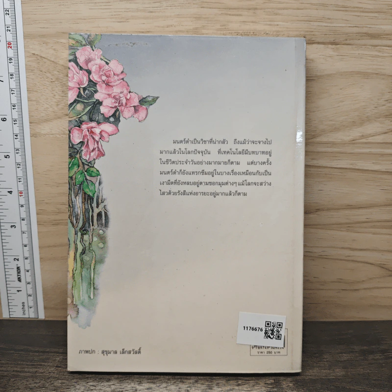 มนตรา - แก้วเก้า รูปที่ 5