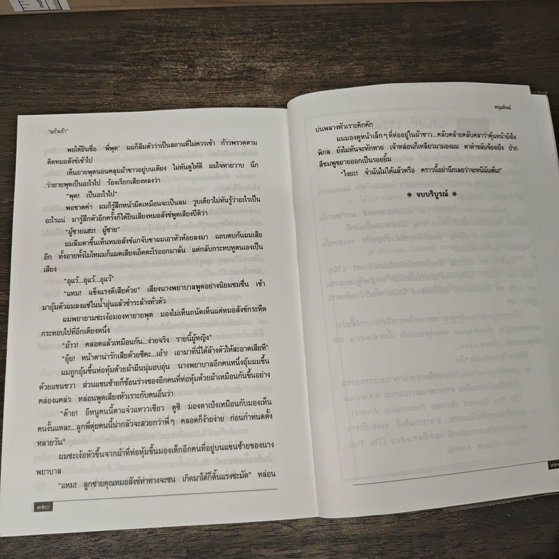 หนุ่มทิพย์ - แก้วเก้า รูปที่ 9