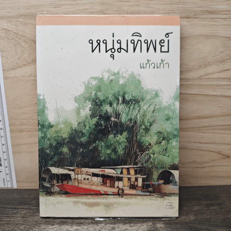 หนุ่มทิพย์ - แก้วเก้า รูปที่ 1
