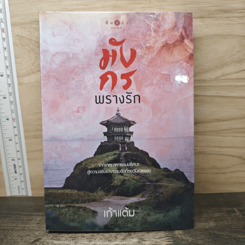 มังกรพรางรัก - เก้าแต้ม รูปที่ 1
