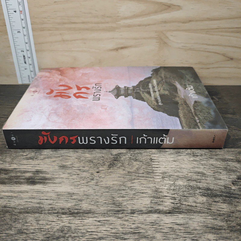 มังกรพรางรัก - เก้าแต้ม รูปที่ 2