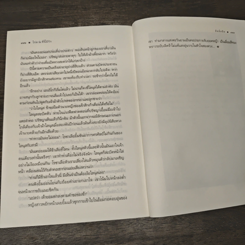 โรม ณ ที่นี้มีรัก - ลัลล์ลลิล รูปที่ 8