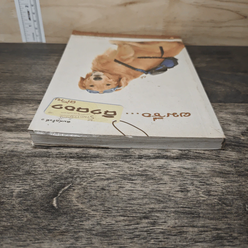 ผมชื่อคิงคองคร้าบ เล่ม 1 - วัสชนะ พรหมประสิทธิ์ รูปที่ 4