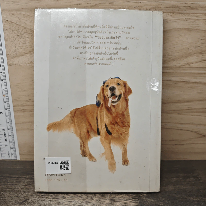 ผมชื่อคิงคองคร้าบ เล่ม 1 - วัสชนะ พรหมประสิทธิ์ รูปที่ 5