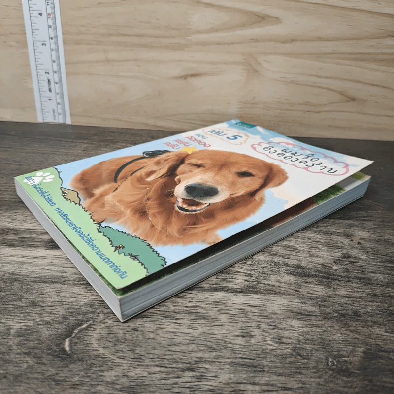 ผมชื่อคิงคองคร้าบ เล่ม 5 ตอน คิงคองแฟนคลับ - วัสชนะ พรหมประสิทธิ์ รูปที่ 3
