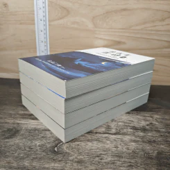 Boxset แผนลวงคดีรัก 4 เล่มจบ - ติงโม่ (Ding Mo) รูปที่ 6