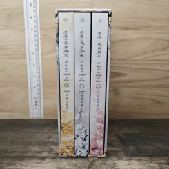 Box set ค่ำคืนนั้นลมวสันต์มาเยือน 3 เล่มจบ - เฟิงหลิวซูไต