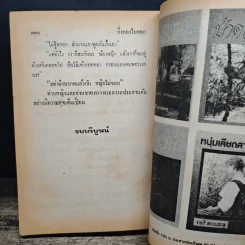 กิ่งทองใบหยก - วลัย นวาระ รูปที่ 8