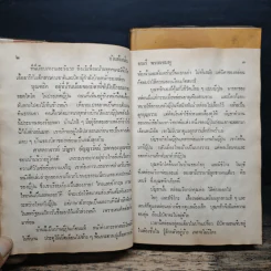 บัวแย้มกลีบ เล่ม 1,3 - จามรี พรรณชมพู รูปที่ 8