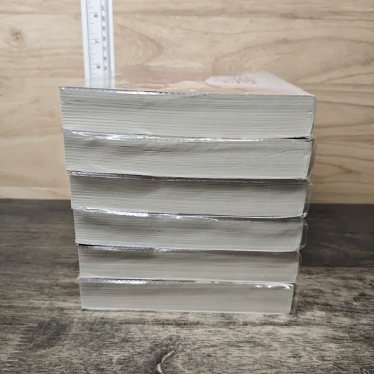 Box Set ผลาญ 6 เล่มจบ - ซานฉาเค่อ, ห้องสมุด รูปที่ 7