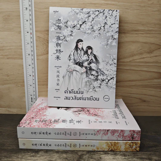 Box set ค่ำคืนนั้นลมวสันต์มาเยือน 3 เล่มจบ - เฟิงหลิวซูไต รูปที่ 3