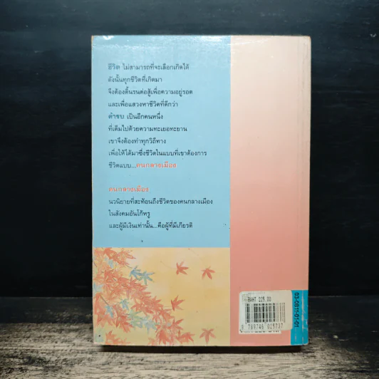 คนกลางเมือง - ศรีฟ้า ลดาวัลย์ รูปที่ 2