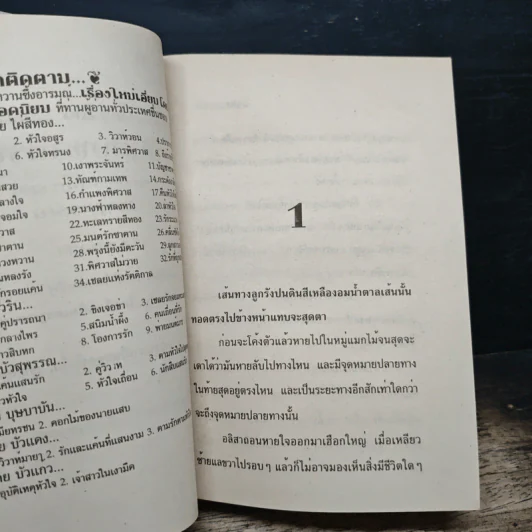 นักสืบแสนรัก - บัวสุพรรณ รูปที่ 6