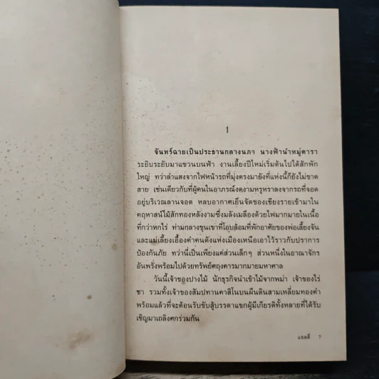 คชินทร์สาทุธาร - แอลลี่ รูปที่ 7