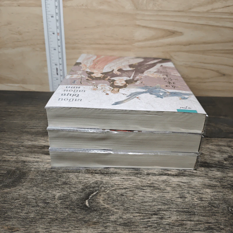 Box set เสมือนไข่มุกเสมือนหยก 3 เล่มจบ รูปที่ 7