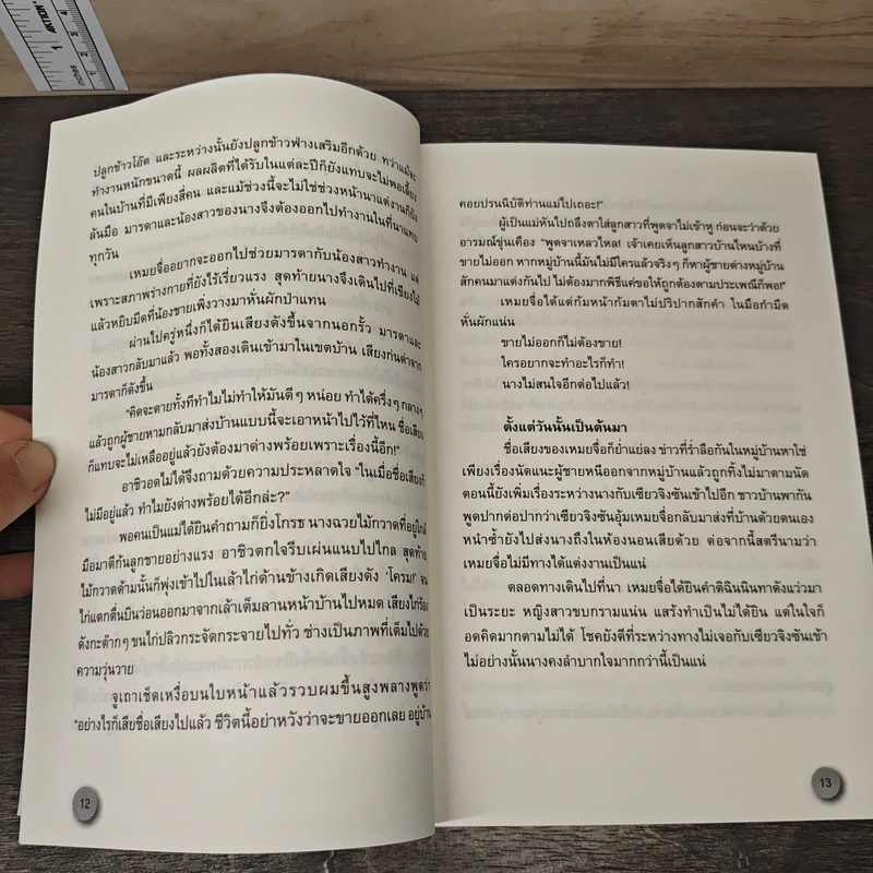 Boxset ดรุณีสุดที่รัก Hunter's Lady 3 เล่มจบ - หนู่หวางปู่ไจ้เจี่ย (NV WANG BU JAI JIA) รูปที่ 10