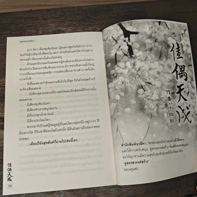 Boxset คู่สรรสวรรค์สร้าง 2 เล่มจบ - สือชื่อหลาง รูปที่ 10
