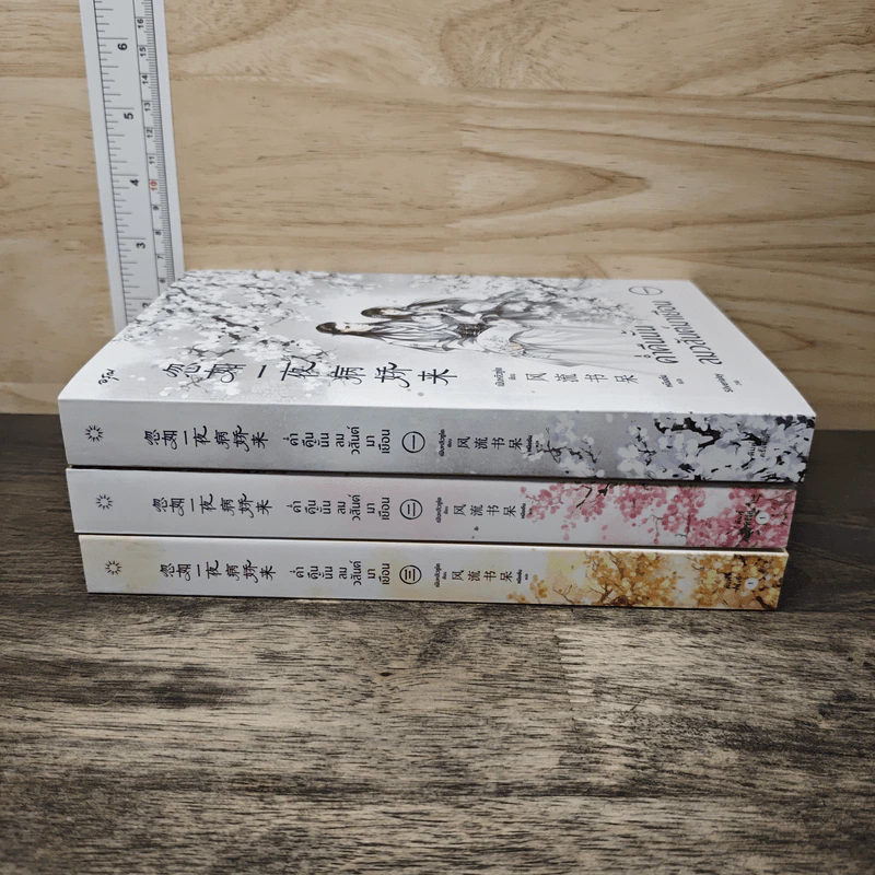 Box set ค่ำคืนนั้นลมวสันต์มาเยือน 3 เล่มจบ - เฟิงหลิวซูไต รูปที่ 5
