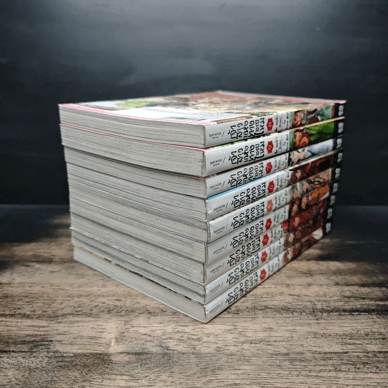 เจ้าสาวแห่งทางสายไหม เล่ม 1-9 - Kaoru mori รูปที่ 4