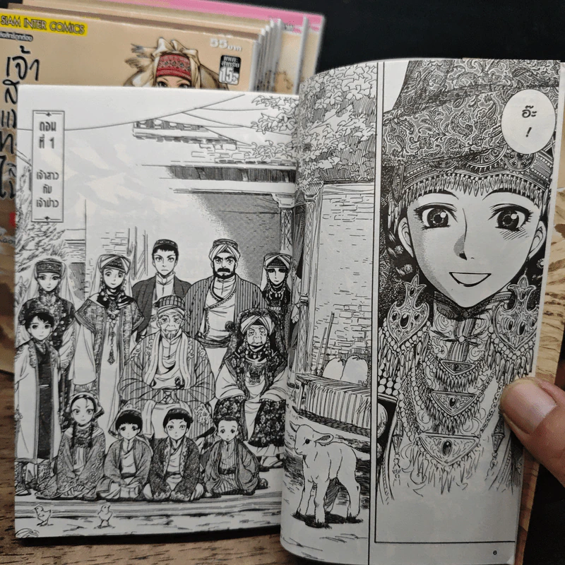 เจ้าสาวแห่งทางสายไหม เล่ม 1-9 - Kaoru mori รูปที่ 7