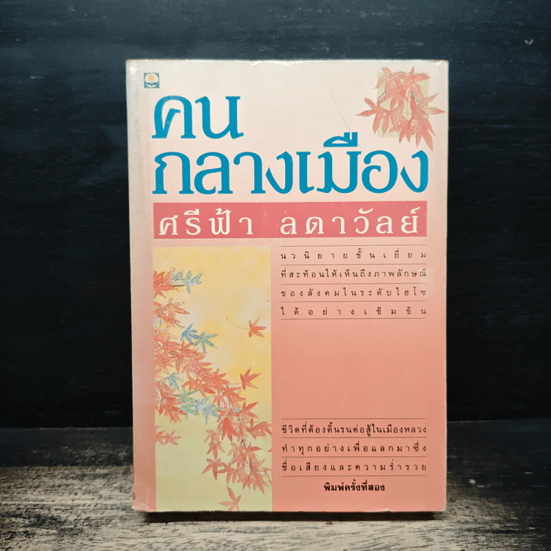 คนกลางเมือง - ศรีฟ้า ลดาวัลย์ รูปที่ 1