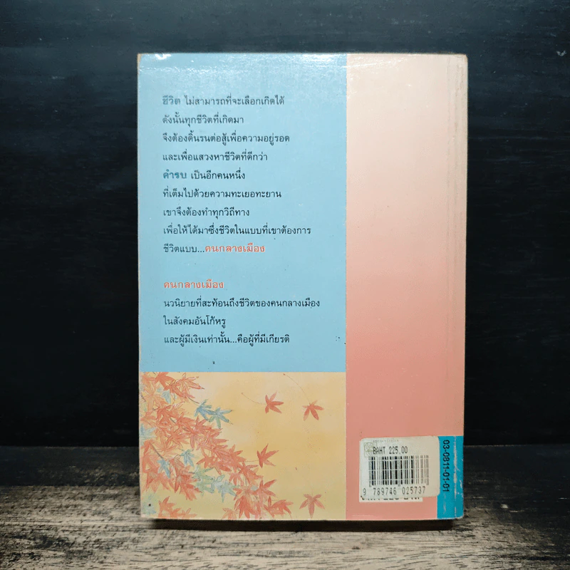 คนกลางเมือง - ศรีฟ้า ลดาวัลย์ รูปที่ 2