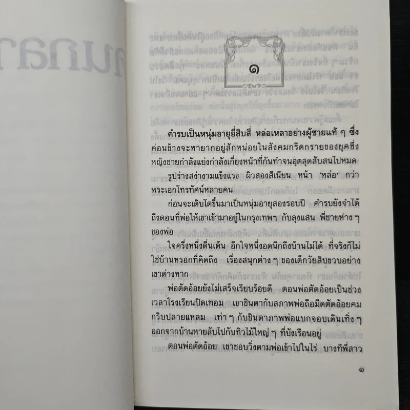 คนกลางเมือง - ศรีฟ้า ลดาวัลย์ รูปที่ 7