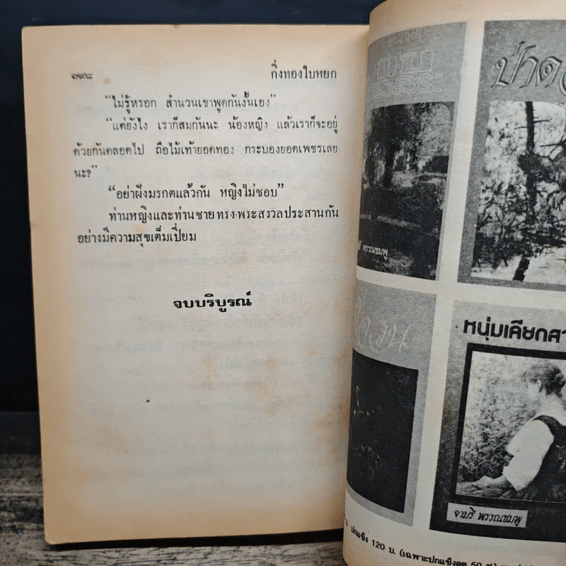 กิ่งทองใบหยก - วลัย นวาระ รูปที่ 8