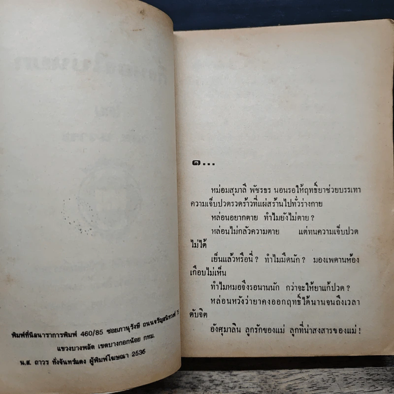 กิ่งทองใบหยก - วลัย นวาระ รูปที่ 6