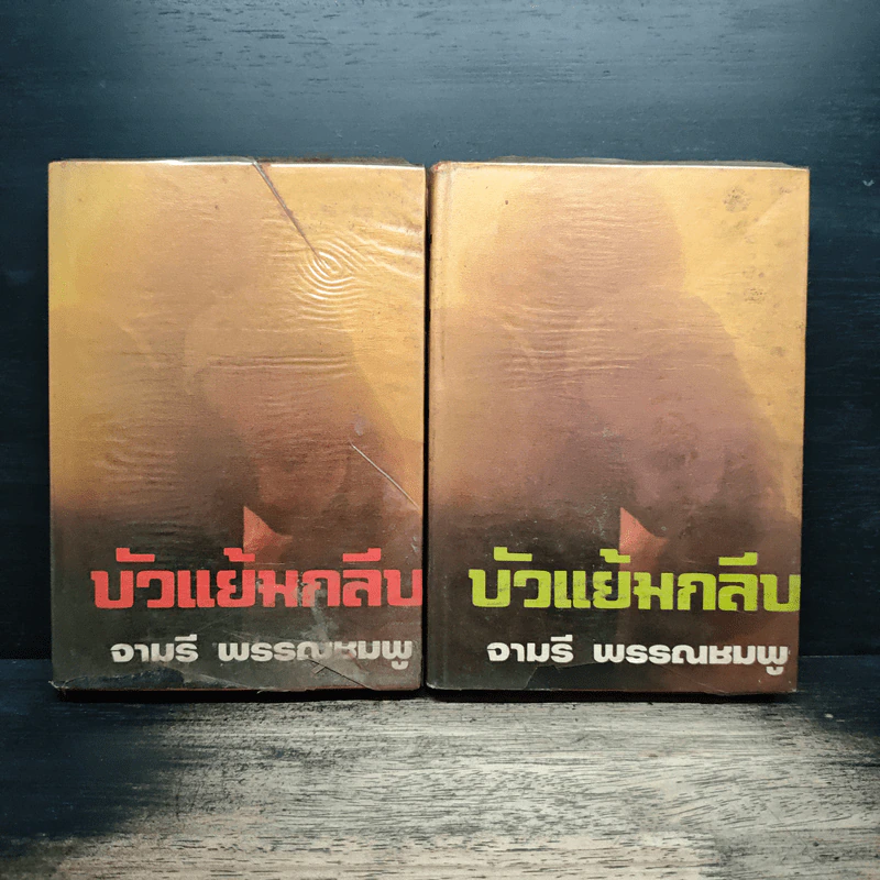 บัวแย้มกลีบ เล่ม 1,3 - จามรี พรรณชมพู รูปที่ 1