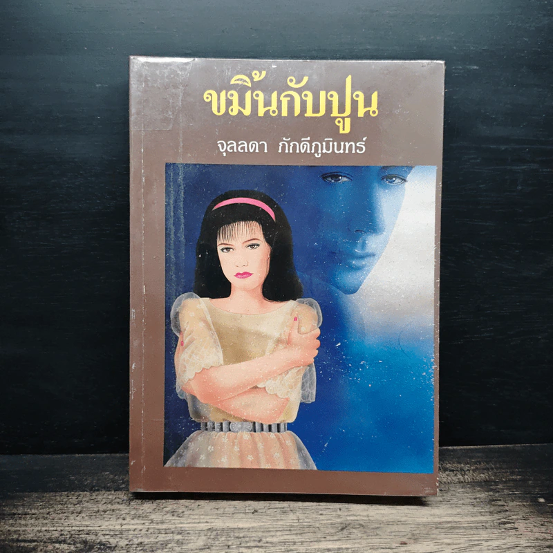 ขมิ้นกับปูน - จุลลดา ภักดีภูมินทร์ รูปที่ 1