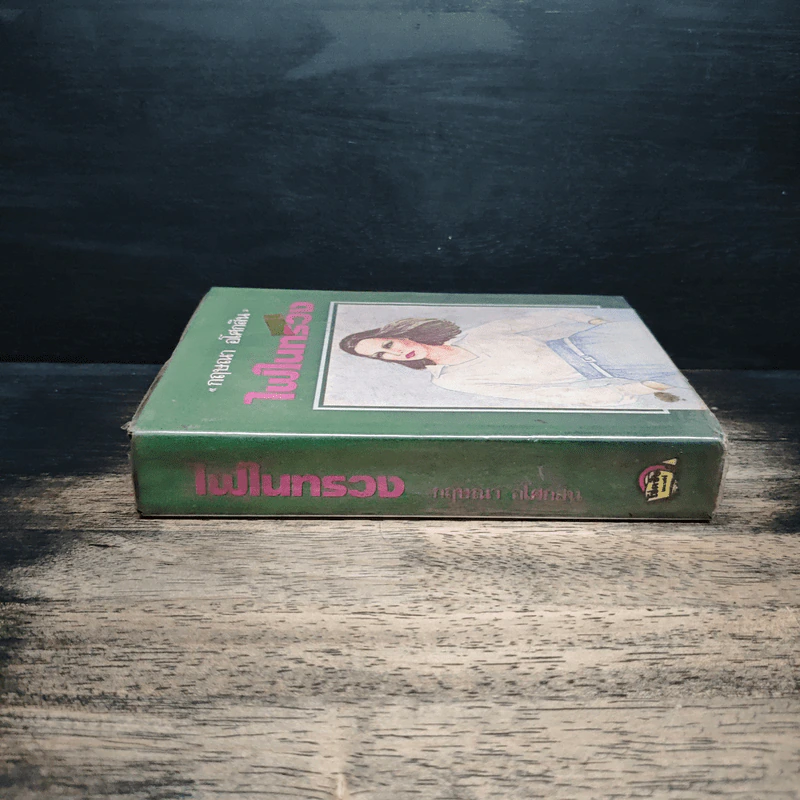 ไฟในทรวง เล่ม 2 - กฤษณา อโศกสิน รูปที่ 3