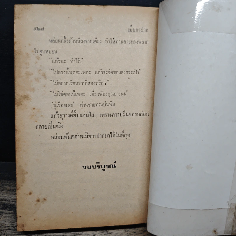 เมียกาฝาก - นลิน บุษกร รูปที่ 8