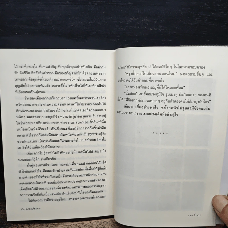 นภดลเคียงดาว - แอลลี่ รูปที่ 9