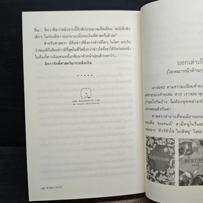 ศาสตราหัวใจ - แอลลี่ รูปที่ 9