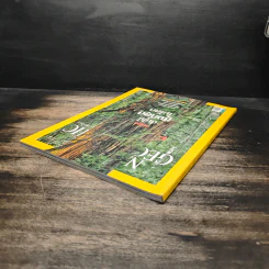 National Geographic ฉบับที่ 99 ต.ค. 2552 เรดวูด รูปที่ 5