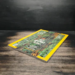 National Geographic ฉบับที่ 99 ต.ค. 2552 เรดวูด รูปที่ 4