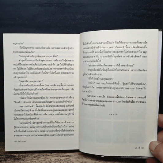 ฉัตรเพชร - แอลลี่ รูปที่ 8